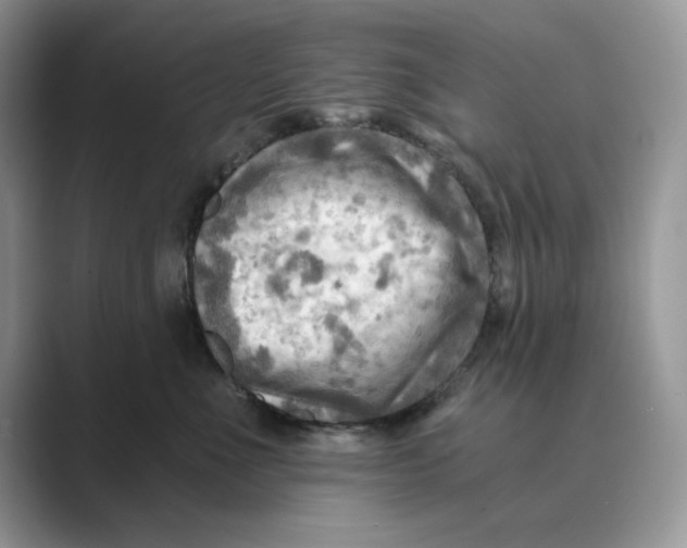 X0000088860523200707061053