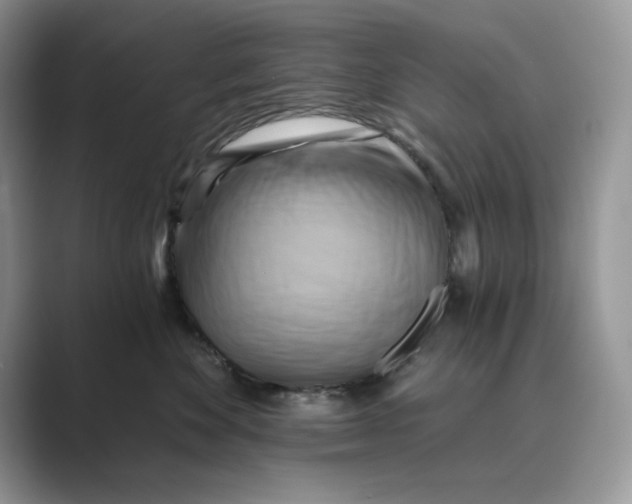 X0000088860524200707061053