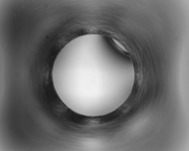 X0000088860525200707061053