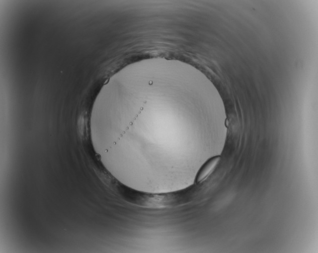 X0000088860527200707061053