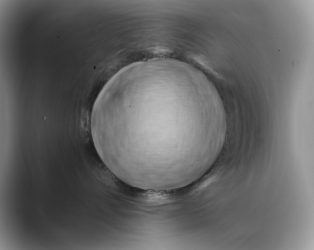 X0000088860528200707061053