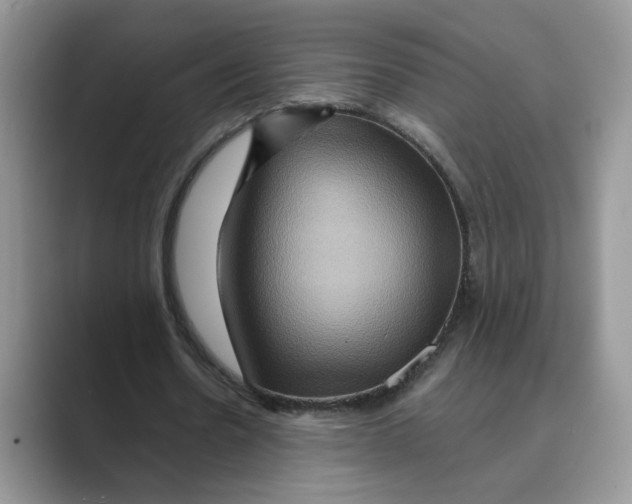 X0000088860530200707061052