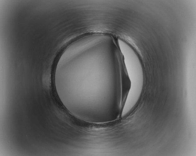 X0000088860531200707061052