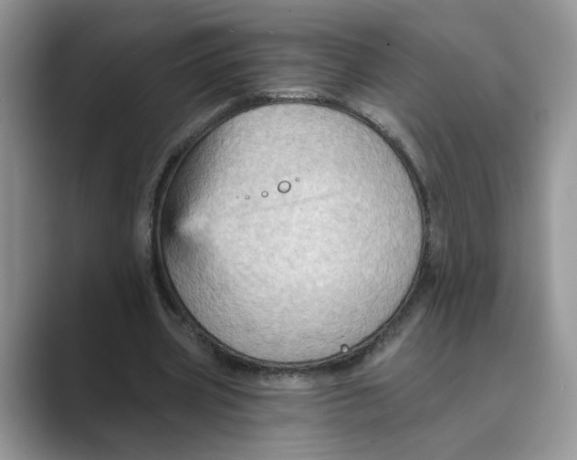 X0000088860533200707061052