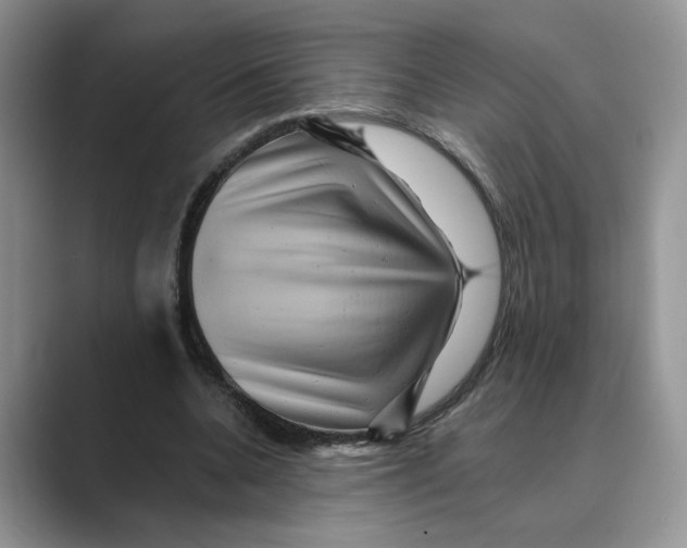 X0000088860536200707061052