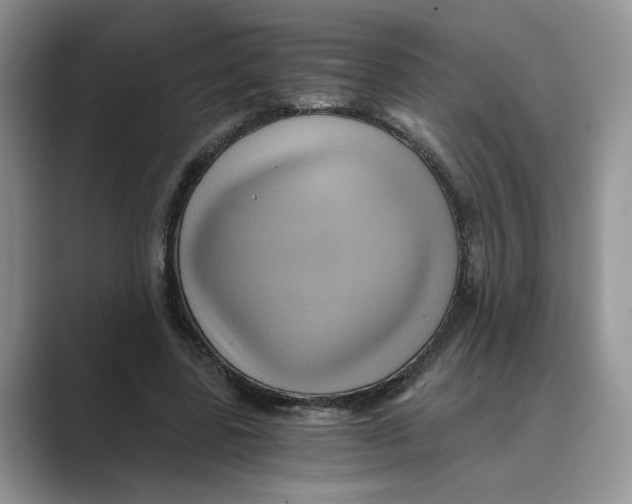 X0000088860539200707061052