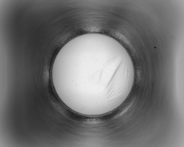 X0000088860541200707061052