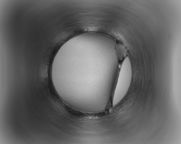 X0000088860543200707061052