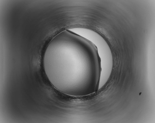 X0000088860544200707061053