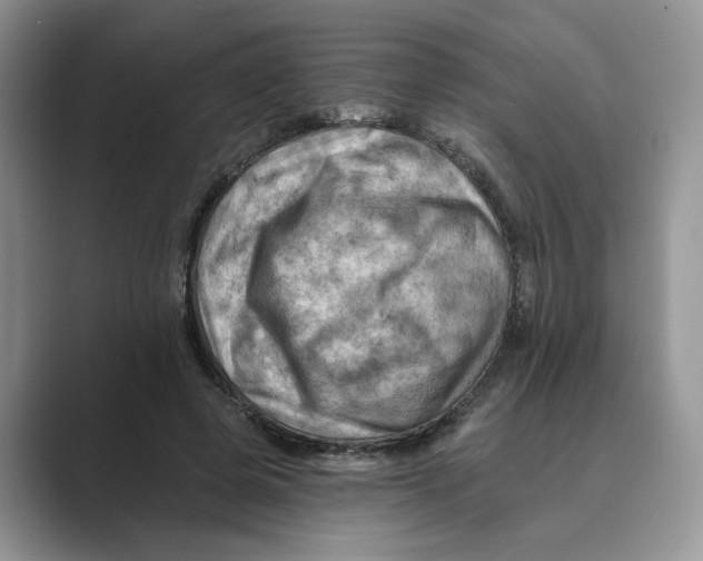 X0000088860545200707061053