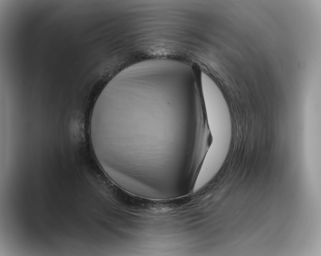 X0000088860547200707061053