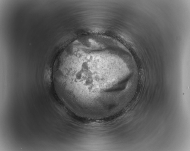 X0000088860550200707061053