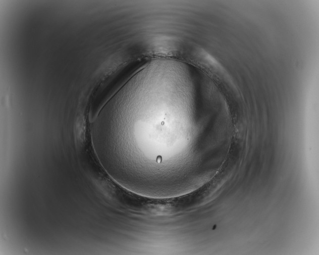 X0000088860552200707061053