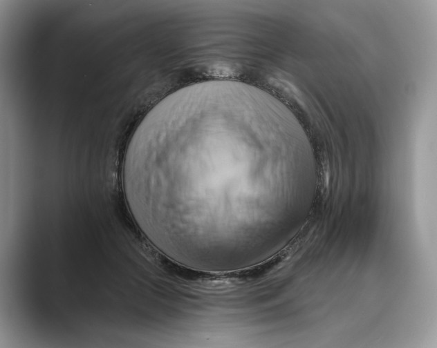 X0000088860553200707061053