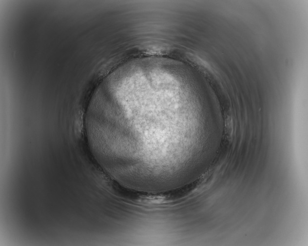 X0000088860554200707061053