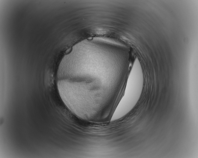 X0000088860555200707061053