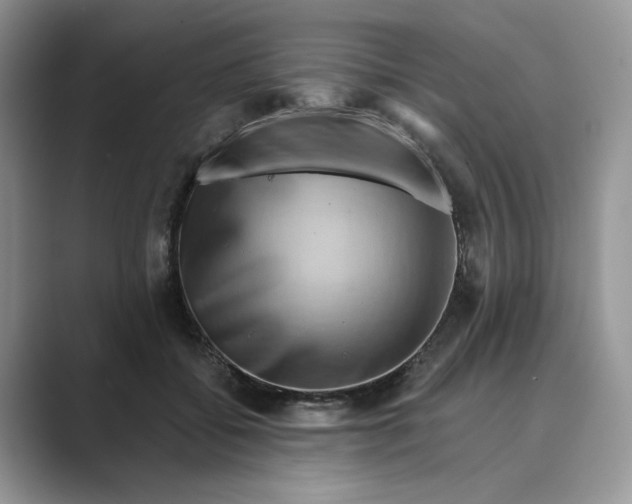 X0000088860556200707061053