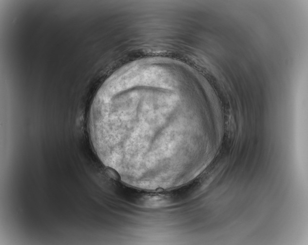 X0000088860557200707061053