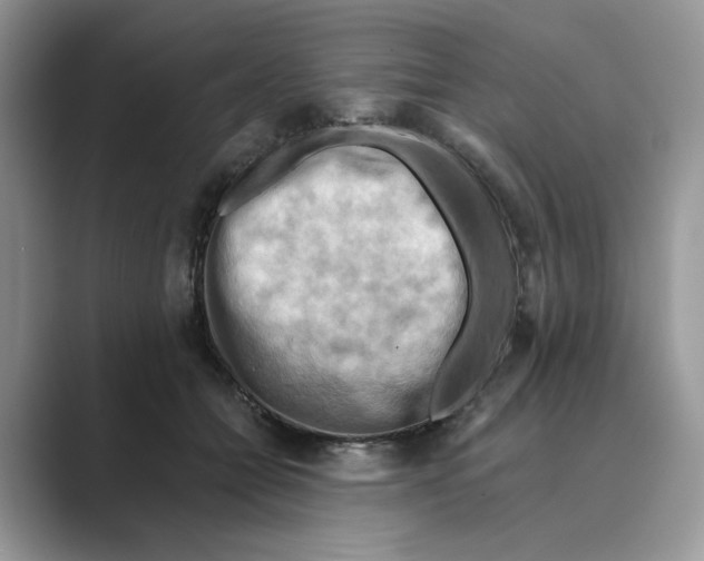 X0000088860558200707061053