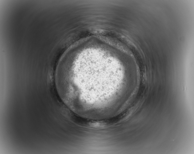 X0000088860561200707061053