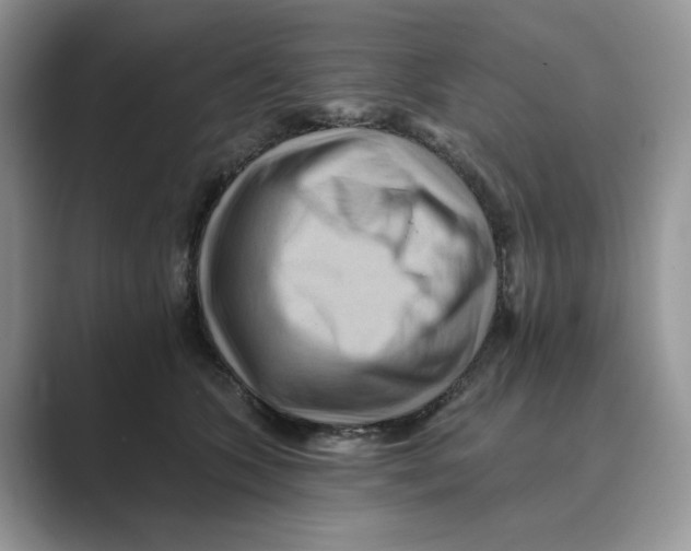 X0000088860563200707061053