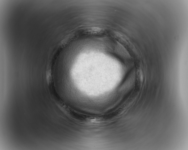 X0000088860564200707061053