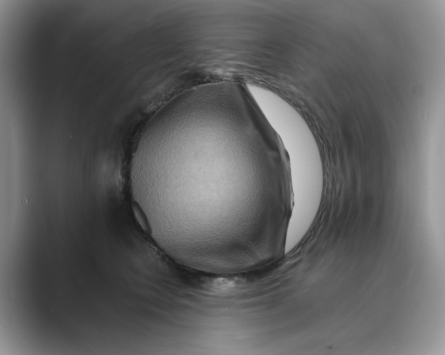 X0000088860566200707061053