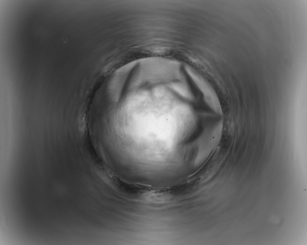 X0000088860568200707061053