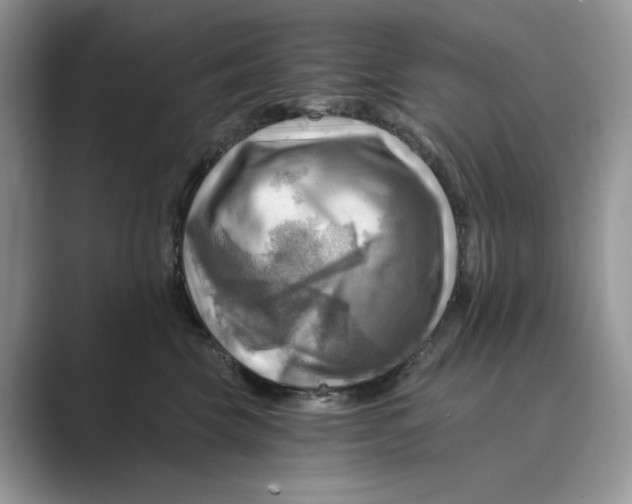 X0000088860569200707061053