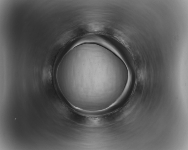 X0000088860570200707061053