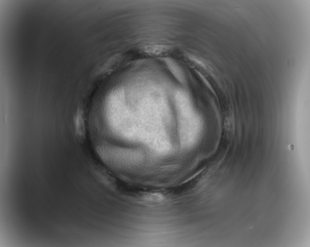 X0000088860572200707061053