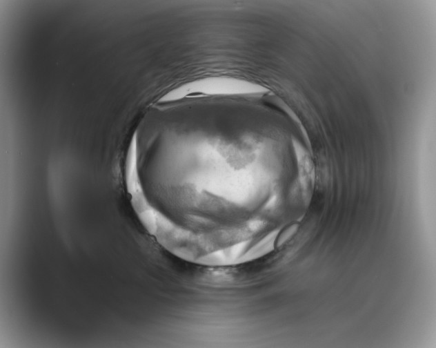 X0000088860573200707061053