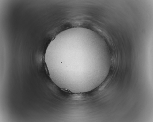 X0000088860574200707061053