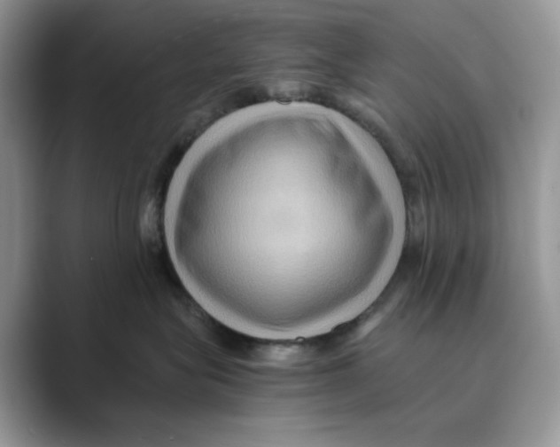 X0000088860575200707061053