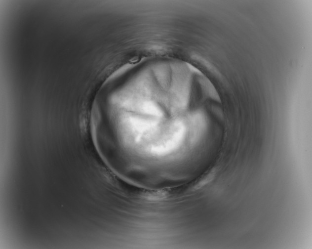 X0000088860576200707061053