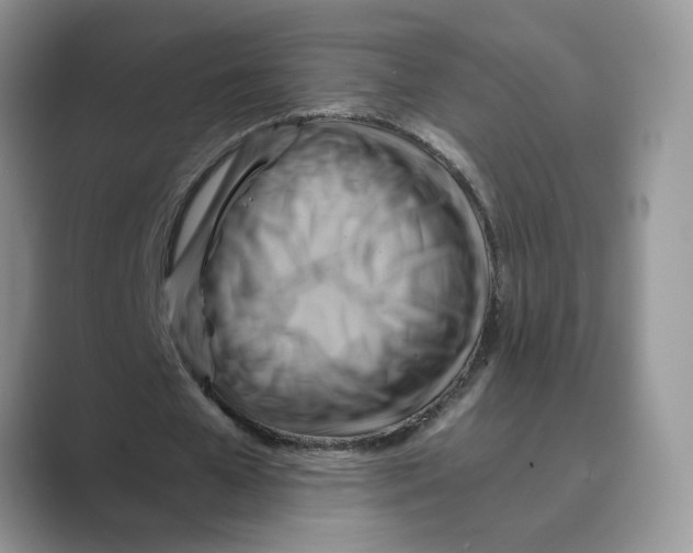 X0000088860577200707061052