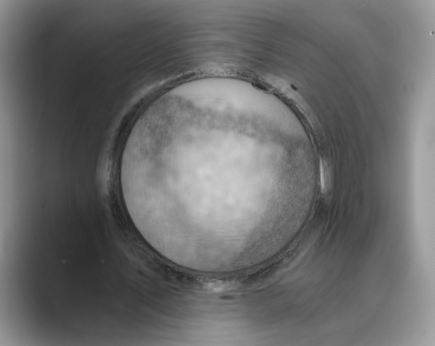 X0000088860579200707061052