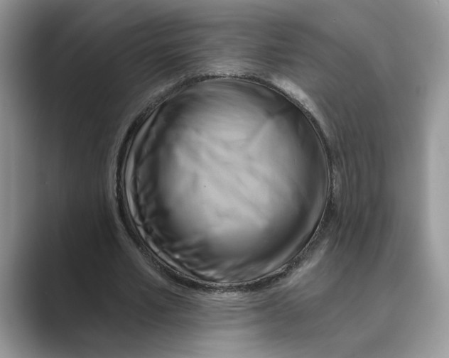 X0000088860581200707061052