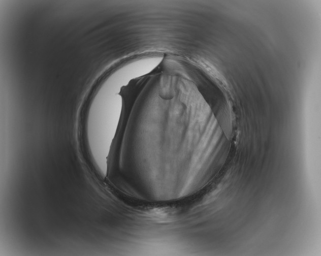 X0000088860584200707061052