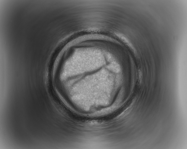 X0000088860588200707061052