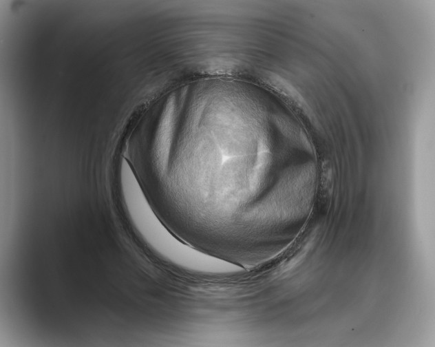 X0000088860589200707061052