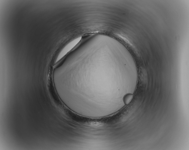 X0000088860590200707061052