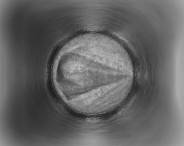 X0000088860591200707061052