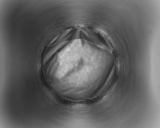 X0000088860593200707061052