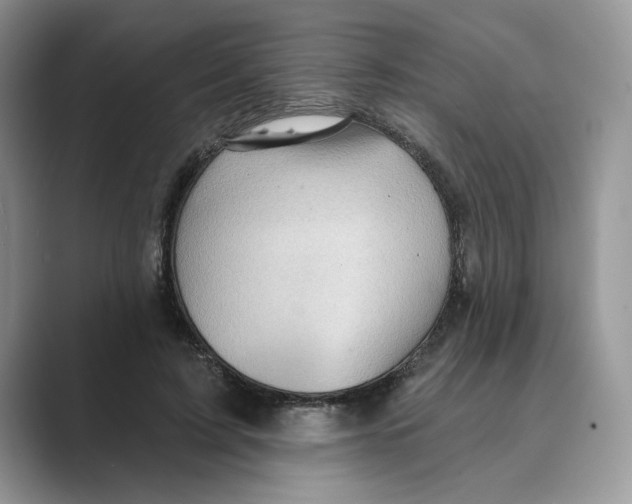 X0000088860595200707061052