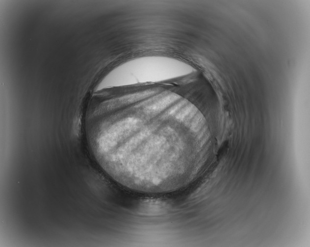 X0000088860596200707061052