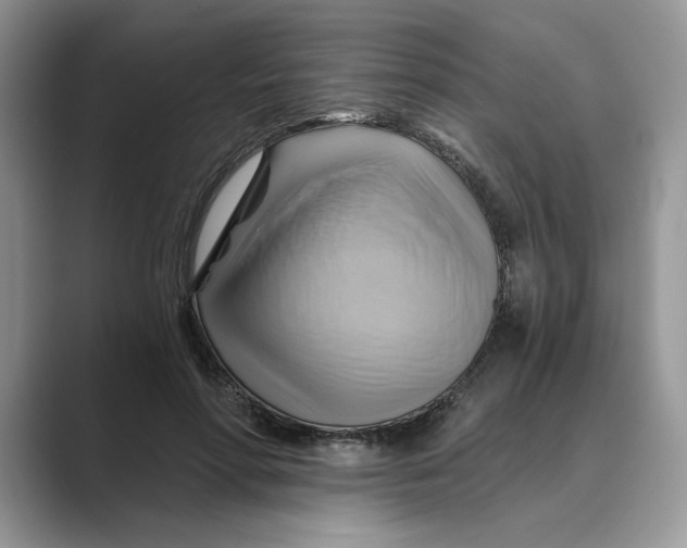 X0000088860598200707061052