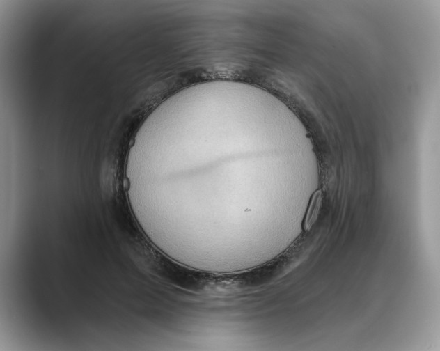 X0000088860599200707061052