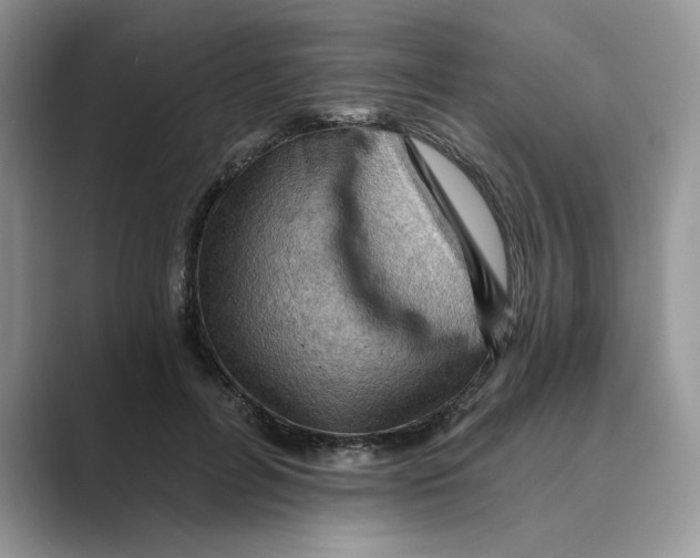 X0000088860600200707061052