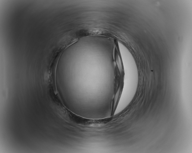 X0000088860601200707061052